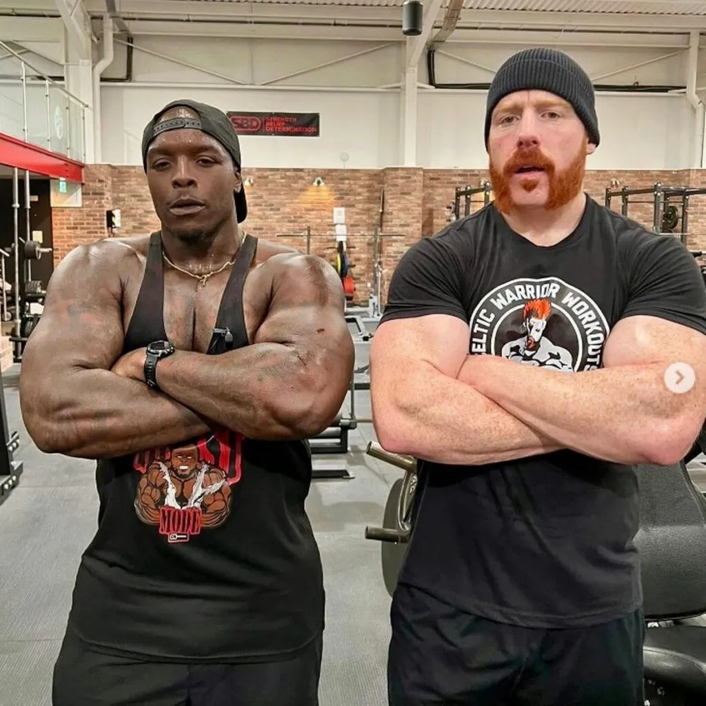 akinfenwa-sheamus-1024x1024