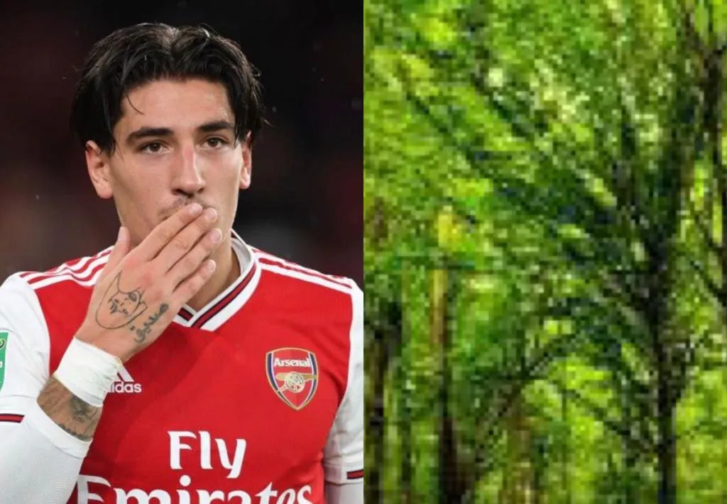 bellerin-alberi-1
