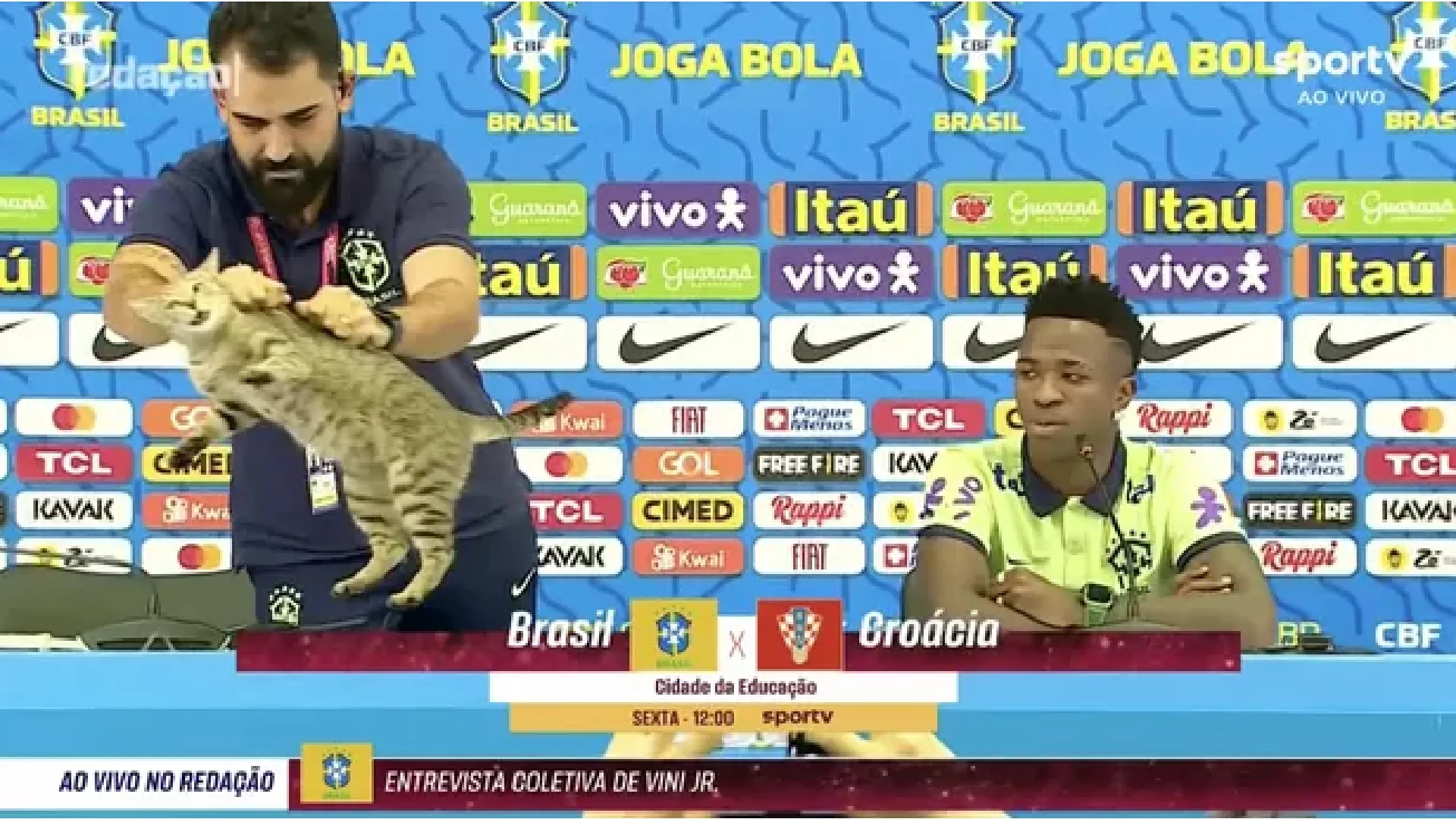 brasile-selecao-maledizione-gatto-2