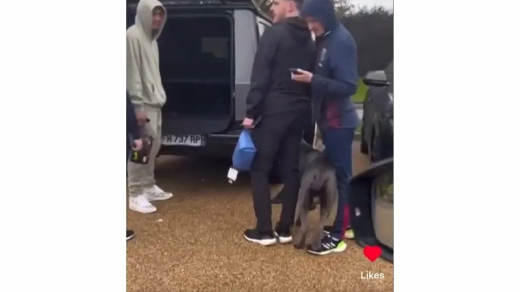 cornet-cane-west-ham-1024x576