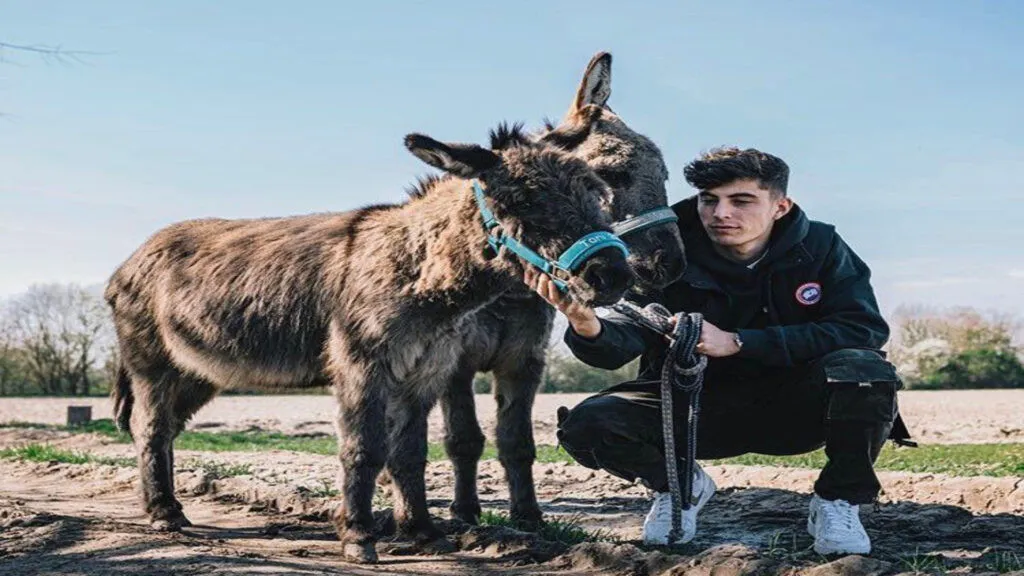 exwnuvuu4aqkjzp-1024x576