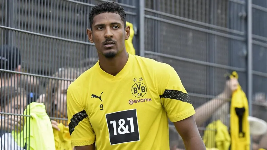 haller-1024x576