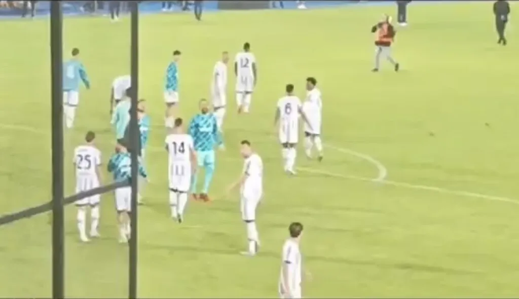 pinsoglio-gatti-1024x590